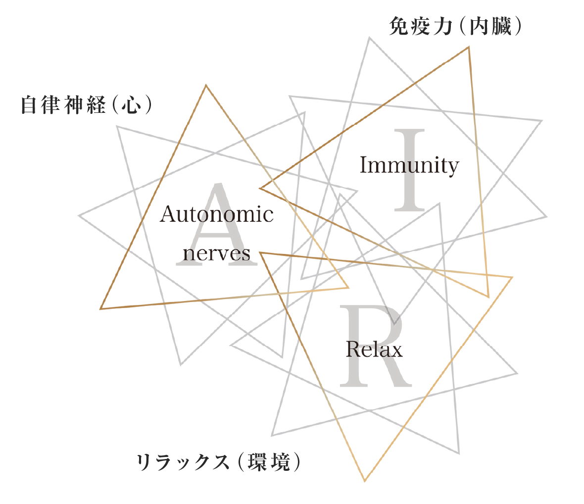 自律神経（心）・免疫力（内臓）・リラックス（環境）